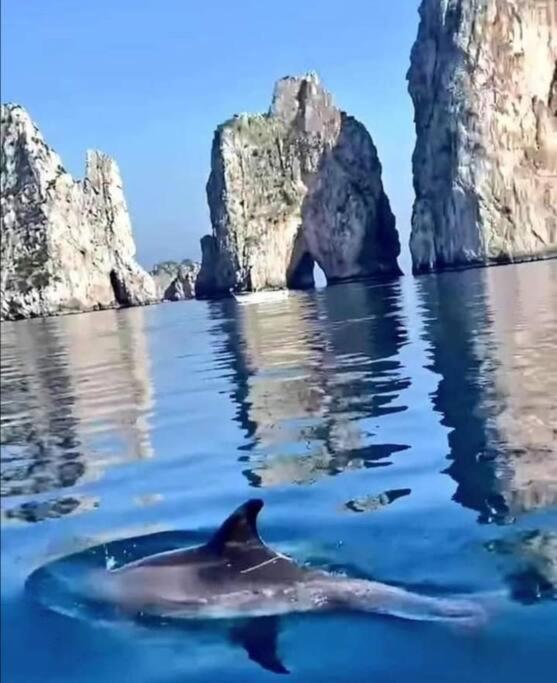 Casa Sorrentina Holiday Vico Equense Εξωτερικό φωτογραφία