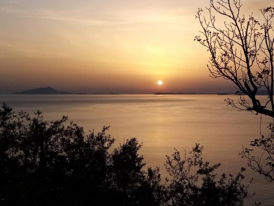 Casa Sorrentina Holiday Vico Equense Εξωτερικό φωτογραφία